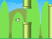 angry flappy chicken